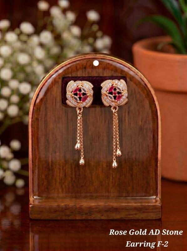Rose gold ad Stone Earring F 2 Cheap artificial jewelry online India